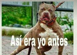 Enlace a Después de eso no se remonta