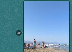 Enlace a Qué envidia