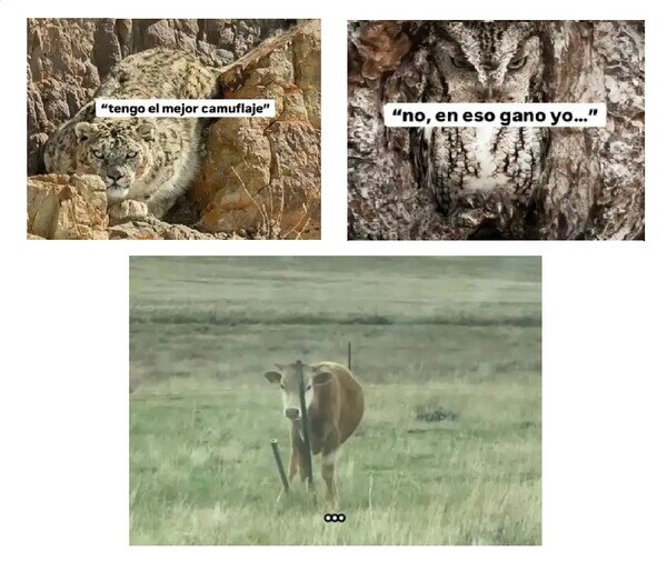 CC_2822585_8d69ebd5a8d64deb8ecfcc132273402e_meme_otros_la_ultima_no_la_veo.jpg