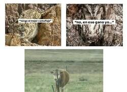 Enlace a La última no la veo