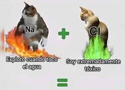 Enlace a Juntos crearon la inofensiva sal