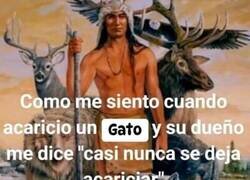 Enlace a Soy el señor de los animales