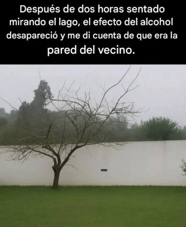 CC_2822673_bb0b014721b64ab0b18dd23a7ae67ae5_meme_otros_que_confusion_mas_tonta_2.jpg