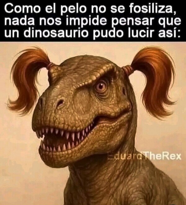 CC_2822675_0a3679fb095b45658fde3eb7ece285a1_meme_otros_me_gusta_imaginar_que_fue_asi.jpg