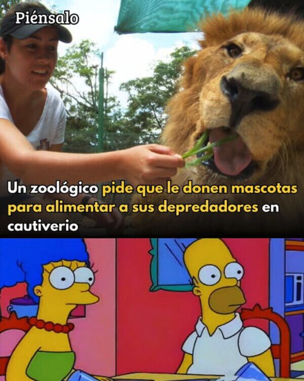CC_2822677_8ae39e8a4c0543ae8794681883f48579_meme_otros_no_queria_saber_el_motivo.jpg