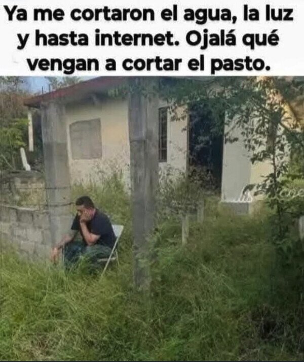 CC_2822743_7ec2feff4f4745dba46b7bdb0a2d176d_otros_eso_no_me_lo_van_a_cortar.jpg