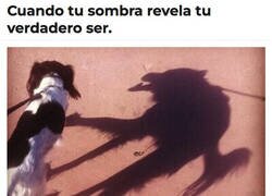 Enlace a Lleva dentro la maldad