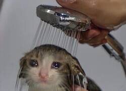 Enlace a Otro finde fugaz