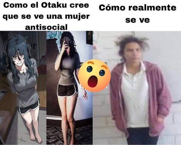 Meme_otros - El prototipo de mujer antisocial