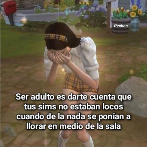 CC_2823011_6329783d4c794aba985ee04fb6cc5f26_meme_otros_ahora_les_comprendo_1.jpg