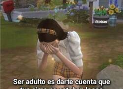 Enlace a Ahora les comprendo