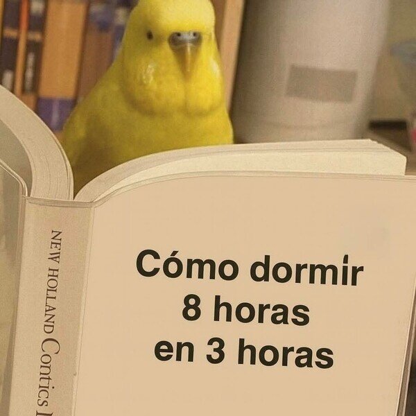 CC_2823080_0468ca3412da45c09a2ba3b91de0f788_otros_el_libro_que_necesito_leer.jpg