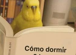 Enlace a El libro que necesito leer
