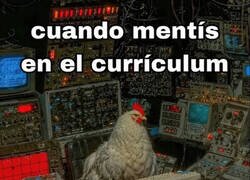 Enlace a ¿Y ahora qué?