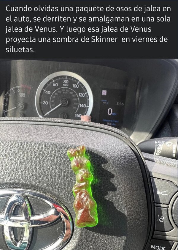 Meme_otros - Todo muy Simpson