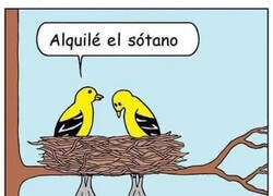 Enlace a Son tiempos difíciles