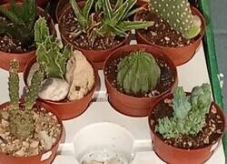 Enlace a Que haga falta colocar este cartel dice mucho