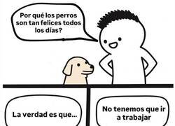 Enlace a ¿Por qué los perros son tan felices?