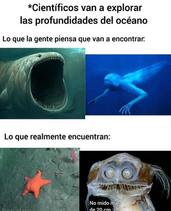 Meme_otros - A mí no me decepcionó