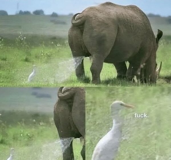 Meme_otros - Ducha inesperada