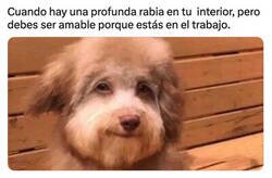 Enlace a Todo va por dentro