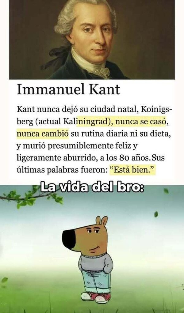 Meme_otros - La vida chill de Kant