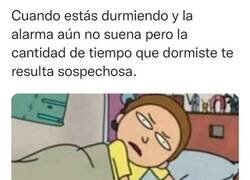 Enlace a Momento paranoico