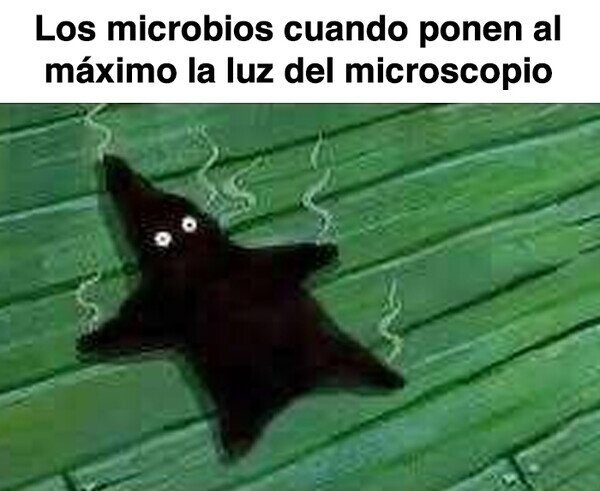 Meme_otros - Estamos jodidos, bro