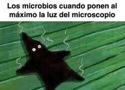 Enlace a Estamos jodidos, bro