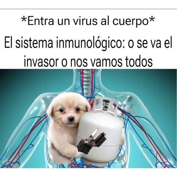 Meme_otros - Vale vale, tampoco es plan de ponerse así