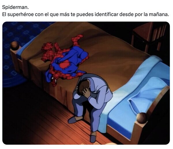 Meme_otros - No sabía que tuviese poderes arácnidos, los usaré a partir de ahora