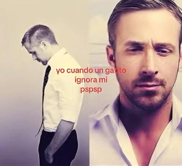 CC_2823796_7141a1d835ea44418c403052c76ba803_meme_otros_ni_ellos_me_quieren_ya.jpg