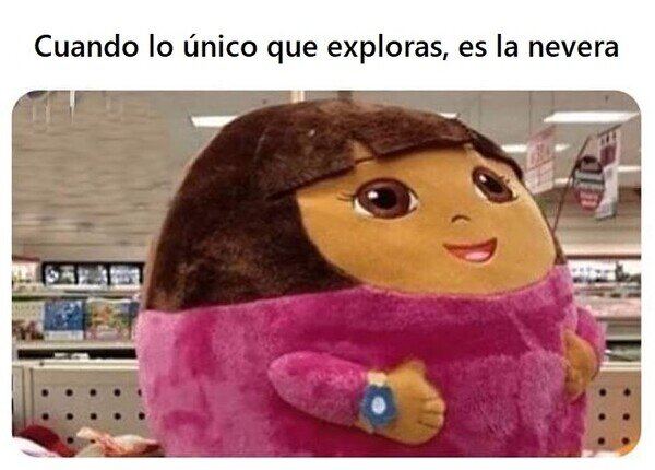 CC_2823888_5725372e9c1d43e0ac20a44d8e5a5835_meme_otros_ya_me_imagino_donde_estan_botas_y_swiper.jpg