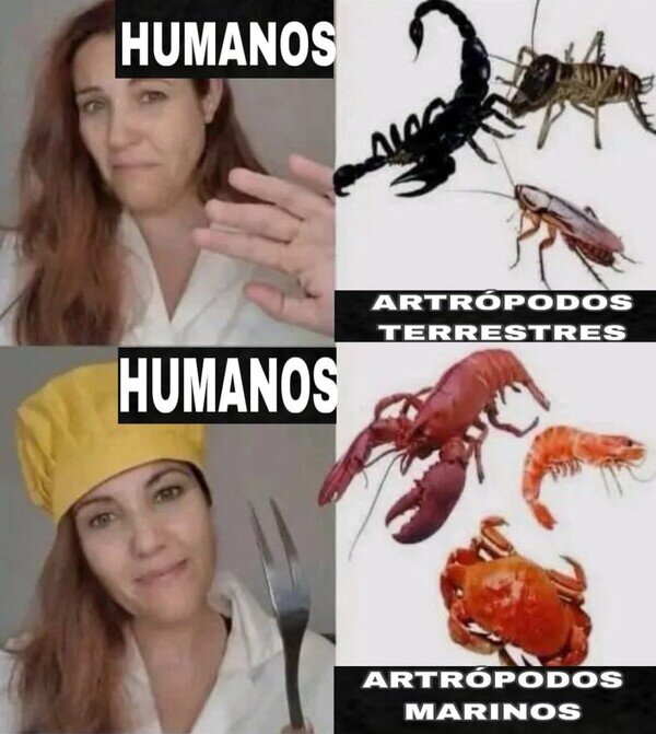 Otros - Vaya doble rasero