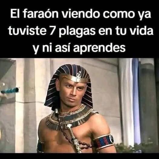CC_2824102_75fc5a74773544398b8833348cf498de_otros_ni_teniendo_100.jpg