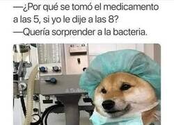 Enlace a Dr Soshi sabe lo que dice