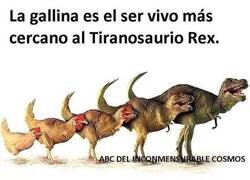 Enlace a Y esos andares erráticos...