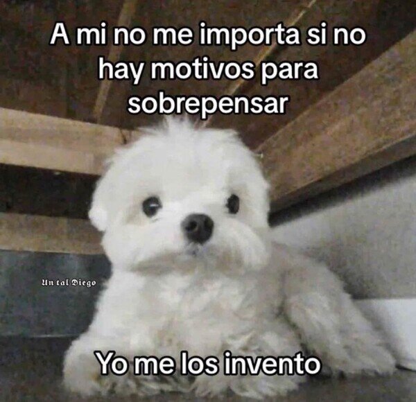 Meme_otros - Sobrepensar es mi estado natural