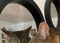 Enlace a Venga va, gástate medio sueldo