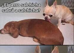 Enlace a Las cosas hay que probarlas