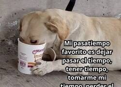 Enlace a El tiempo es lo mío