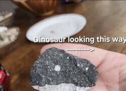 Enlace a Para un lado es una orca, para el otro, un dinosaurio