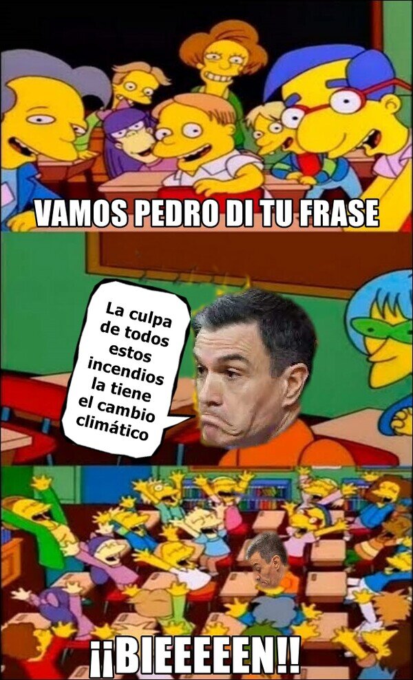 Meme_otros - Es el nuevo 