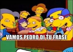 Enlace a Es el nuevo 