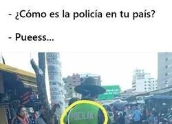 Enlace a Nooooo la pocilia nooooo