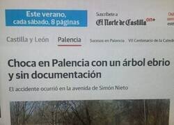 Enlace a Al menos el árbol no iba drogado