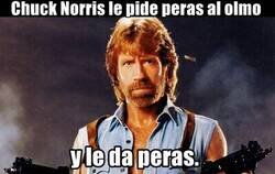 Enlace a No le pidas peras al olmo