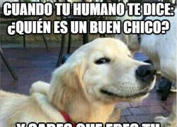 Enlace a Lo sabe perfectamente