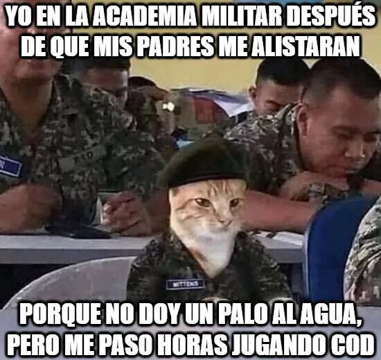 Meme_otros - ¿Qué bigotes hago aquí?