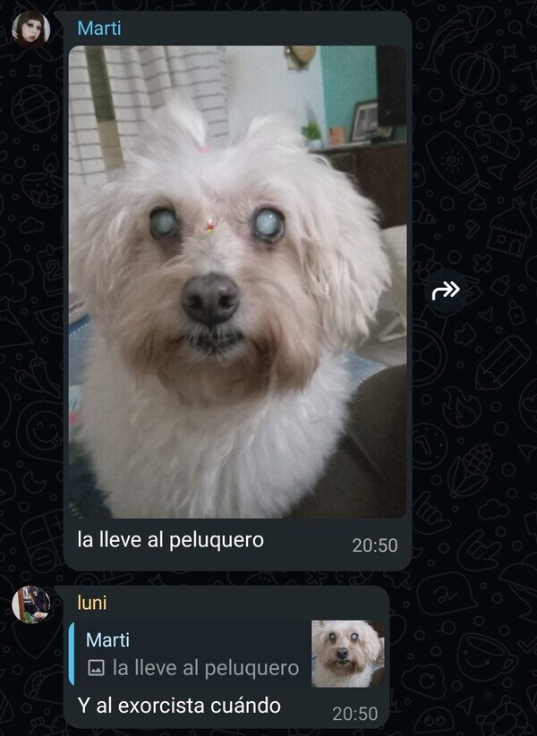 Otros - Necesita otros servicios